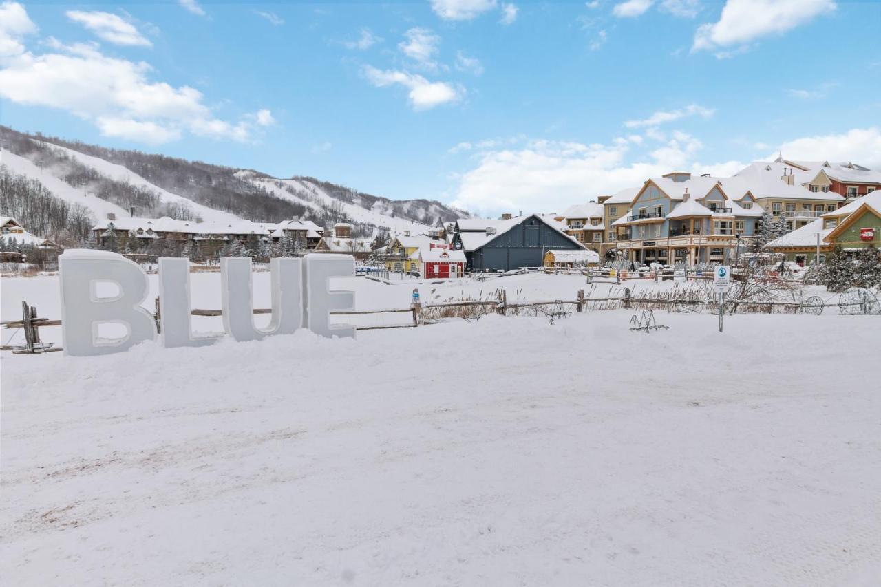 211 Chateau Ridge Блу-Маунтінс Екстер'єр фото